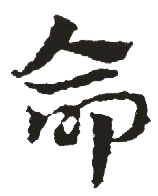 命 命