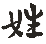 姓