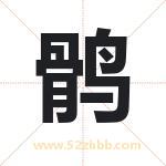 鹘字的寓意和含义 取名鹘字事项