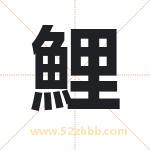 鯉怎么读-鯉字的意思-鯉的含义-鯉字起名