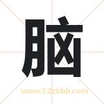 脑 脑