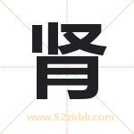 起名用字解析：肾字的意思与含义