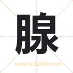 起名用字解析：腺字起名的意义