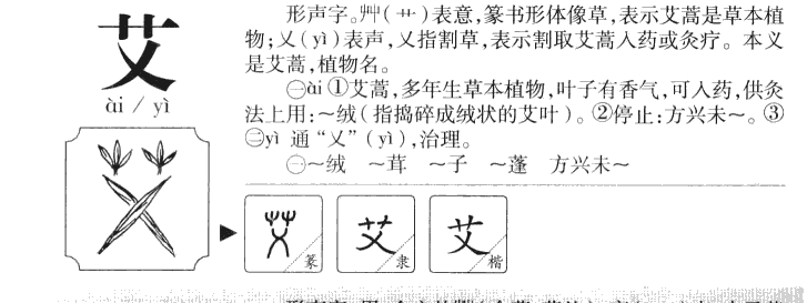 艾怎么组词艾叶图片