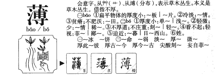 薄字作为名字的寓意,薄字做名字的含义