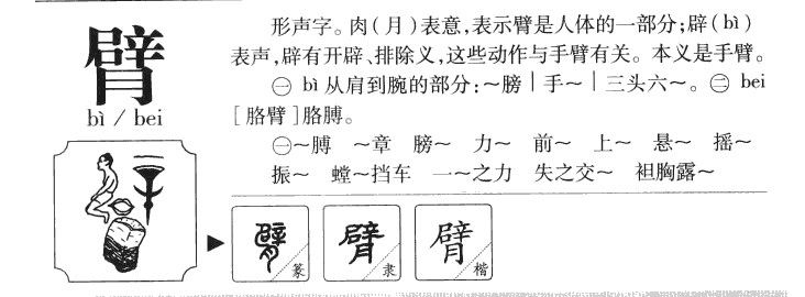 臂字在人名字中寓意,臂字的意思是什么