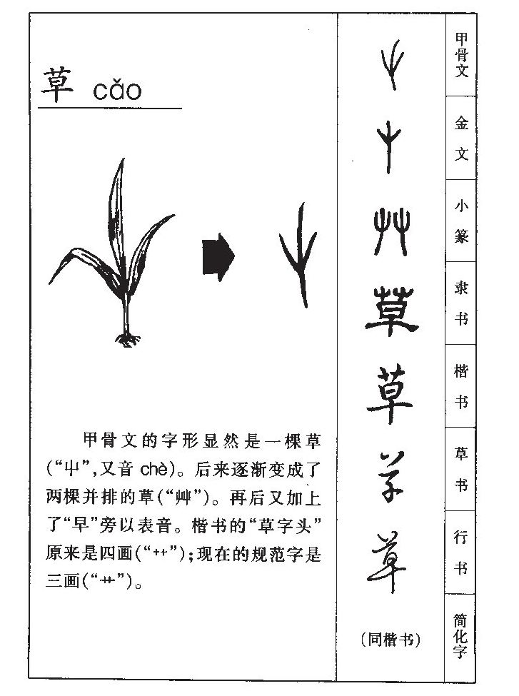 草的甲骨文怎么写草字图片