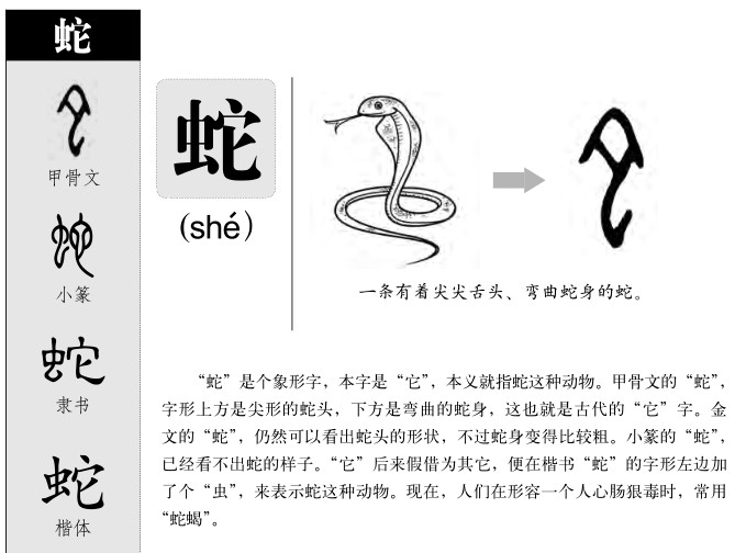 蛇字五行属什么的,蛇字取名的寓意是什么