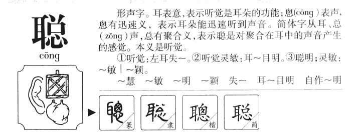 聪字五行属什么 聪字取名有什么意义
