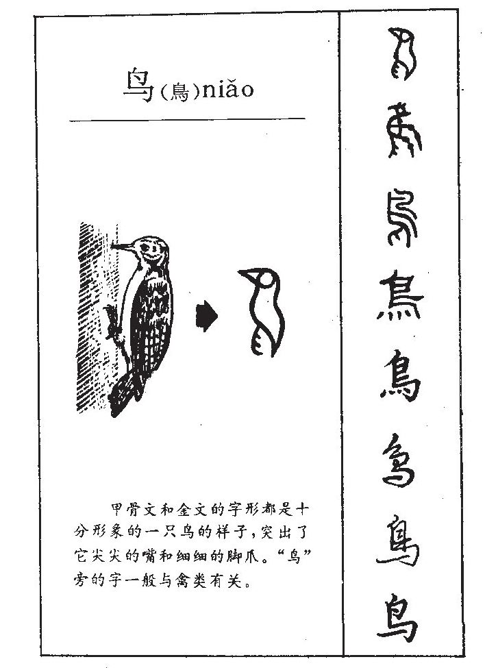 鸟字五行属什么鸟字取名有什么意义