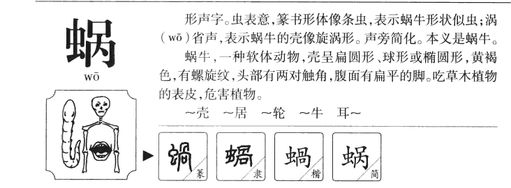 蜗字取名怎么样,蜗字的五行属性及意思