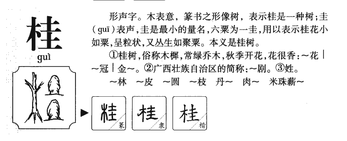 桂字的演变过程图片