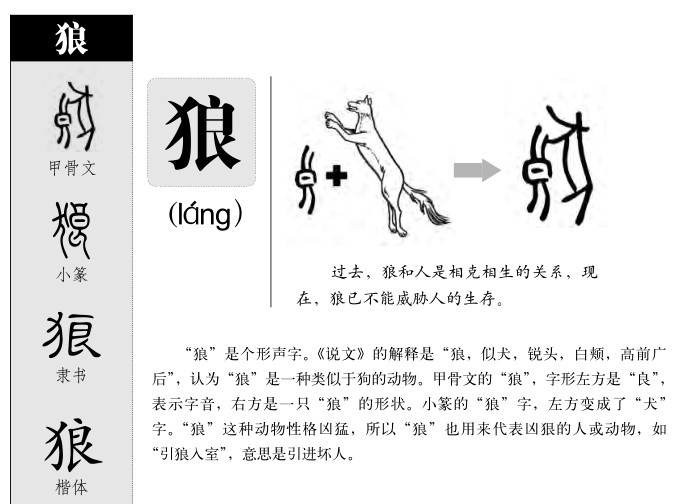 狼字的演变过程图片图片