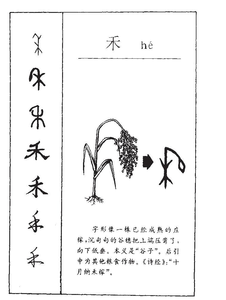 象形字禾图片