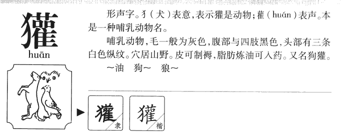 獾字取名怎么样,獾字名字中的意思