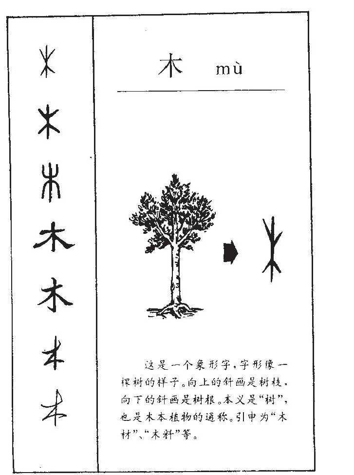 木字五行属什么木字取名有什么意义