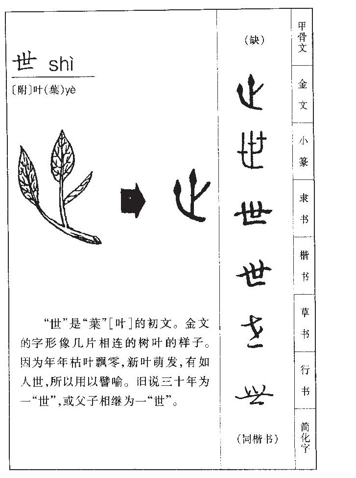 世字五行属什么 世字取名有什么意义
