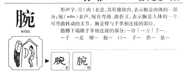 腕字的寓意是什么,腕字在人名字中寓意