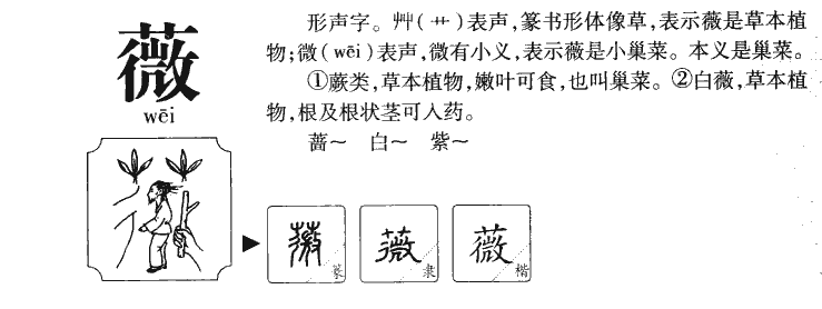 葳字怎么读图片