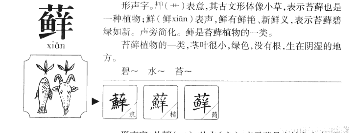 癣字怎么读图片