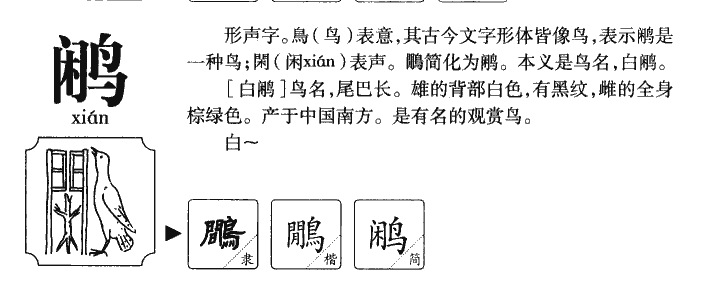 鹇字名字的寓意,鹇字五行属性是什么