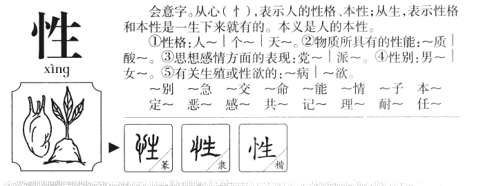 性字五行属什么,性字取名寓意是什么