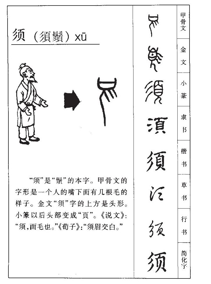 须字做名字的含义,须字在名字中的寓意