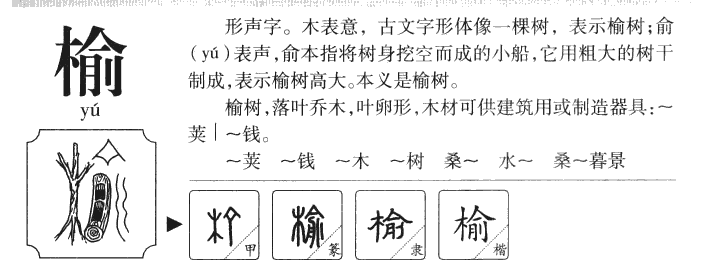 榆字五行属什么 榆字取名有什么意义
