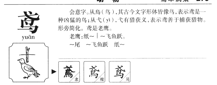 鸢笔顺图片