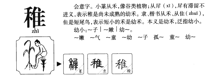 稚字组词图片