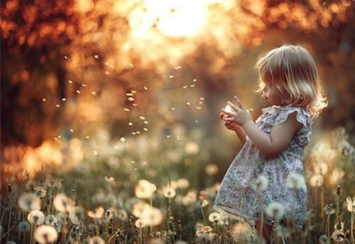 陶姓女孩名字最新