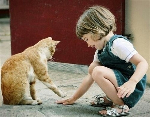 2020适合属鼠女孩的名字