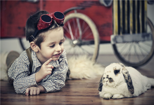 女孩漂亮有涵养的名字