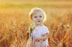 鷥字五行属什么 鷥字取名有什么意义