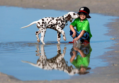 谻字五行属什么 谻字取名有什么意义