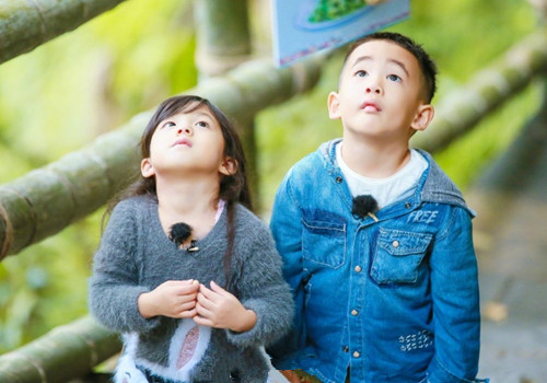 李姓男孩名五行带土