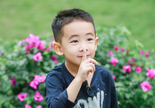 牛年李姓男孩取名
