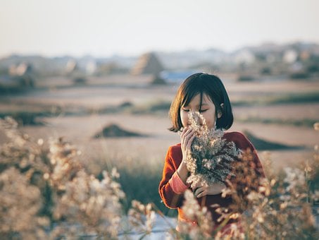 好听又时尚的毛姓女宝名字大全2024