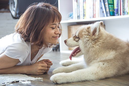 姓卢博学多才的名字 270个朗朗上口的女生名字