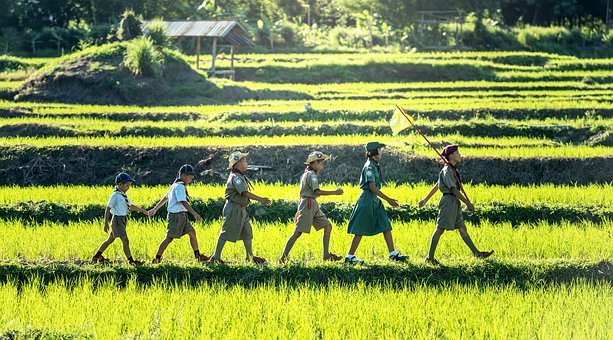 龙年女孩五行属金的名字如何起 才霸气冷艳