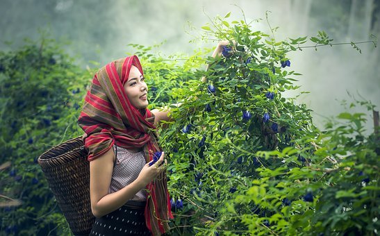 2025年取蛇年女宝宝名字大全合集